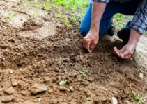 Seed Saving Tips For Emergency Garden Preparedness