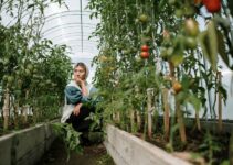 Grow Your Resilience: Home Gardening During Food Crises
